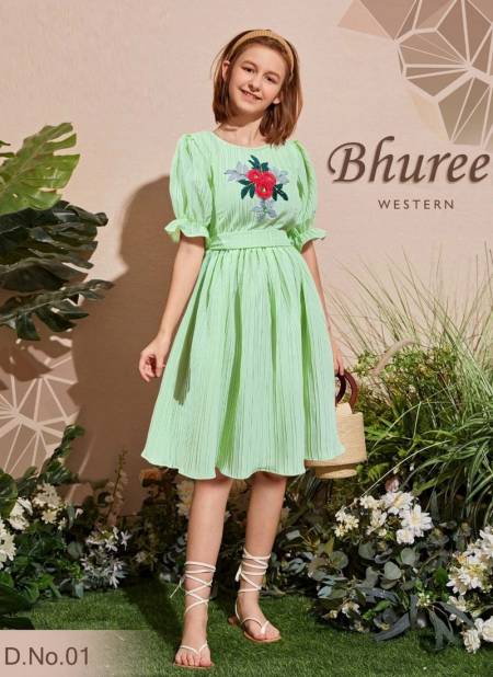 Pista Colour BHUREE New Stylish Party Wear Girls One Piece Kids Collection BHUREE 1